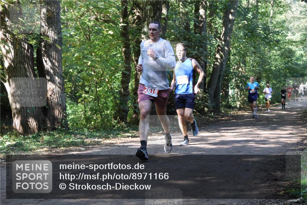 28.09.2025 - 33. Volkslauf durch das schöne Alstertal Strokosch-Dieckow http://msf.ph/oto/8971166 28.09.2025 12:08:54 Laufen 2619, 1843 meine-sportfotos.de