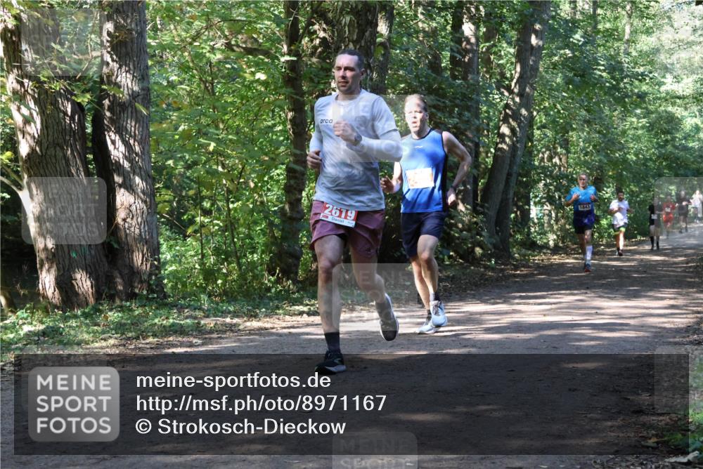 28.09.2025 - 33. Volkslauf durch das schöne Alstertal Strokosch-Dieckow http://msf.ph/oto/8971167 28.09.2025 12:08:54 Laufen 2619 meine-sportfotos.de