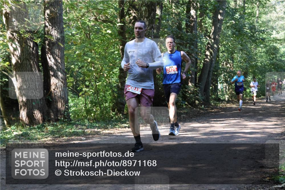 28.09.2025 - 33. Volkslauf durch das schöne Alstertal Strokosch-Dieckow http://msf.ph/oto/8971168 28.09.2025 12:08:54 Laufen 2019, 2425, 1843 meine-sportfotos.de