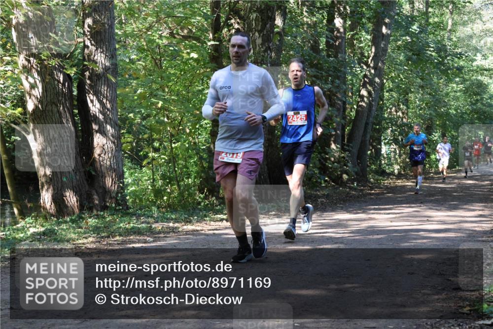 28.09.2025 - 33. Volkslauf durch das schöne Alstertal Strokosch-Dieckow http://msf.ph/oto/8971169 28.09.2025 12:08:54 Laufen 2019, 2425, 1843 meine-sportfotos.de