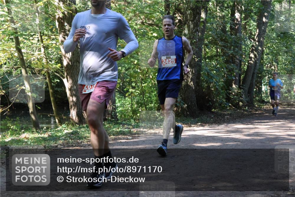 28.09.2025 - 33. Volkslauf durch das schöne Alstertal Strokosch-Dieckow http://msf.ph/oto/8971170 28.09.2025 12:08:55 Laufen 201, 2425, 1843 meine-sportfotos.de