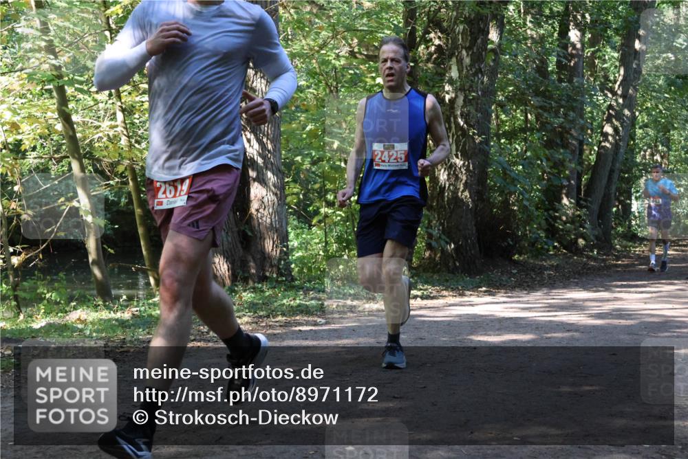 28.09.2025 - 33. Volkslauf durch das schöne Alstertal Strokosch-Dieckow http://msf.ph/oto/8971172 28.09.2025 12:08:55 Laufen 2619, 2425 meine-sportfotos.de