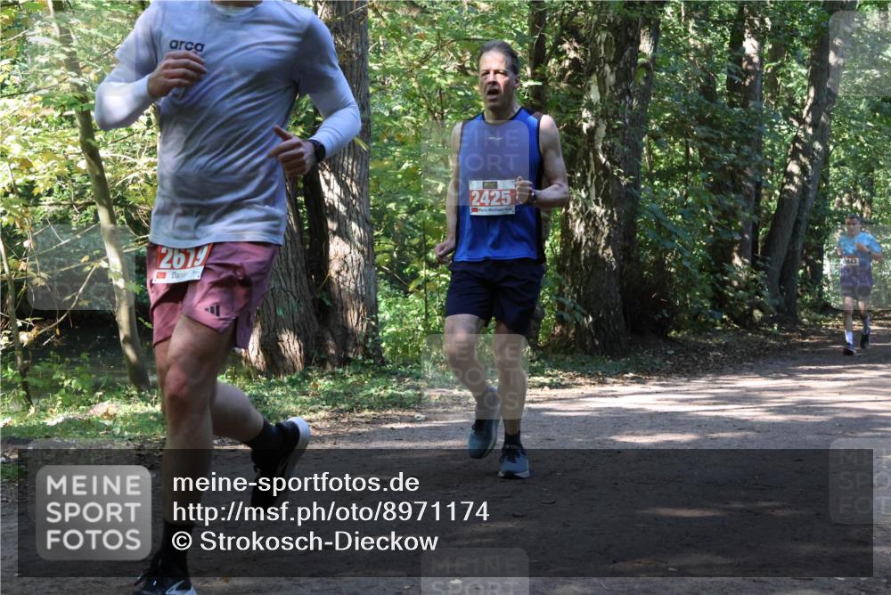 28.09.2025 - 33. Volkslauf durch das schöne Alstertal Strokosch-Dieckow http://msf.ph/oto/8971174 28.09.2025 12:08:55 Laufen 2679, 2425, 1843 meine-sportfotos.de