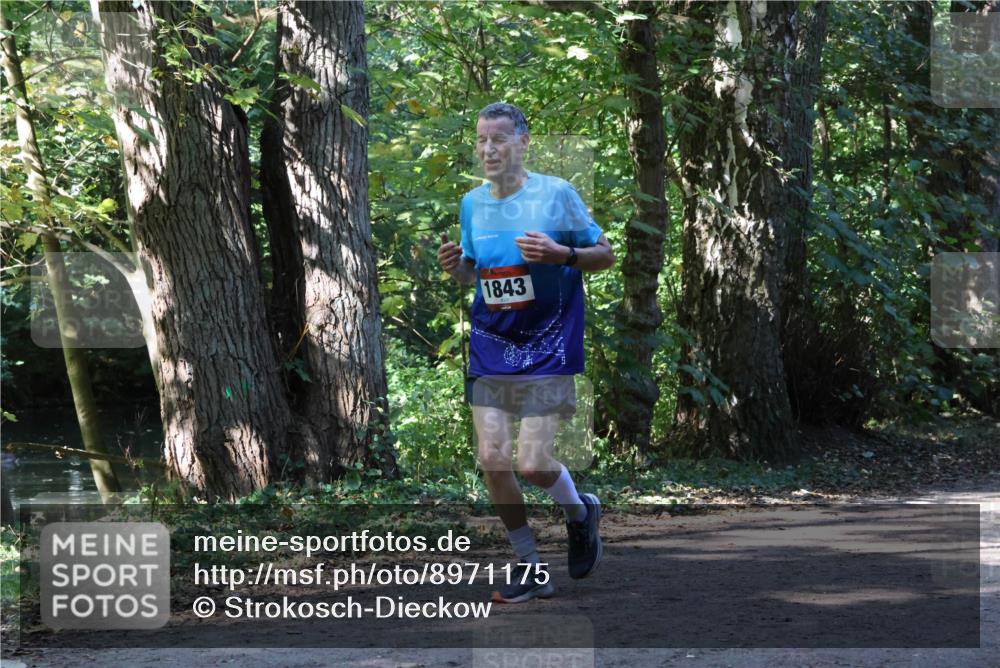 28.09.2025 - 33. Volkslauf durch das schöne Alstertal Strokosch-Dieckow http://msf.ph/oto/8971175 28.09.2025 12:09:00 Laufen 1843 meine-sportfotos.de