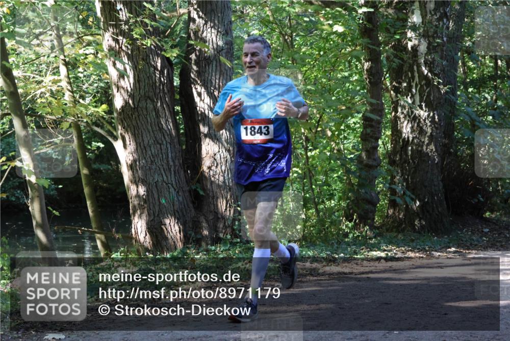28.09.2025 - 33. Volkslauf durch das schöne Alstertal Strokosch-Dieckow http://msf.ph/oto/8971179 28.09.2025 12:09:00 Laufen 1843 meine-sportfotos.de