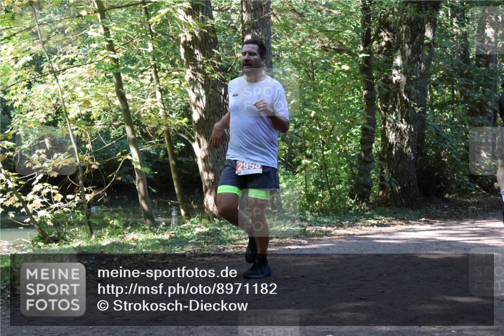 28.09.2025 - 33. Volkslauf durch das schöne Alstertal Strokosch-Dieckow http://msf.ph/oto/8971182 28.09.2025 12:09:04 Laufen 2990 meine-sportfotos.de