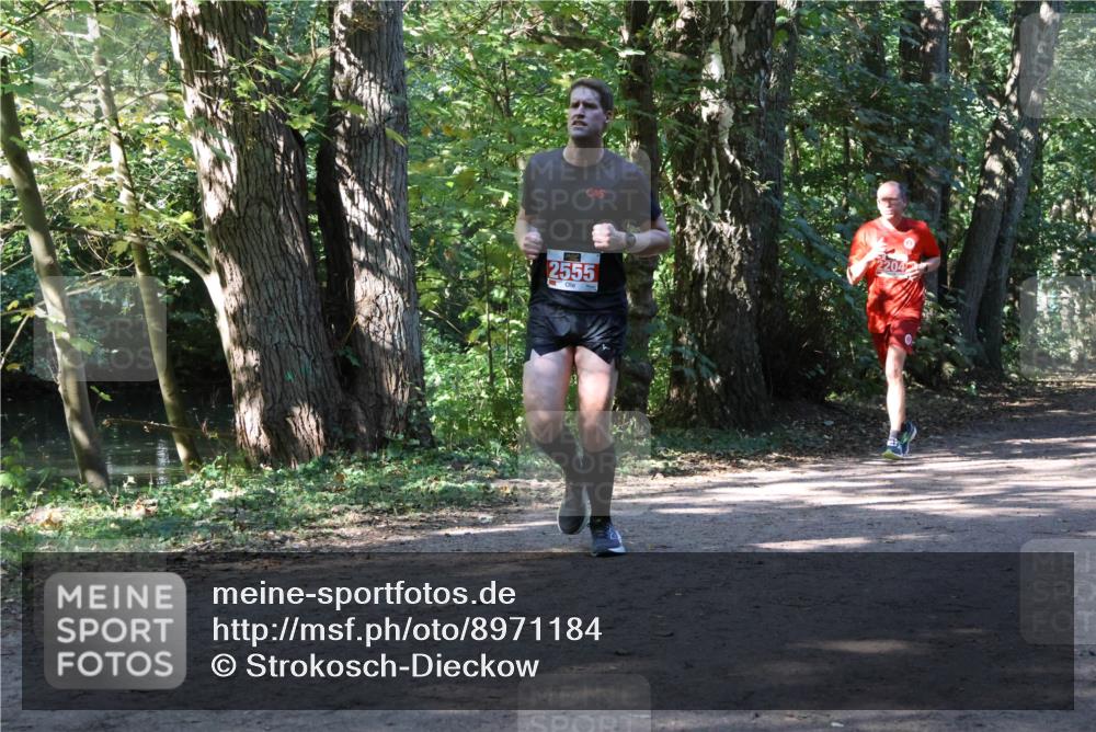 28.09.2025 - 33. Volkslauf durch das schöne Alstertal Strokosch-Dieckow http://msf.ph/oto/8971184 28.09.2025 12:09:07 Laufen 2555 meine-sportfotos.de