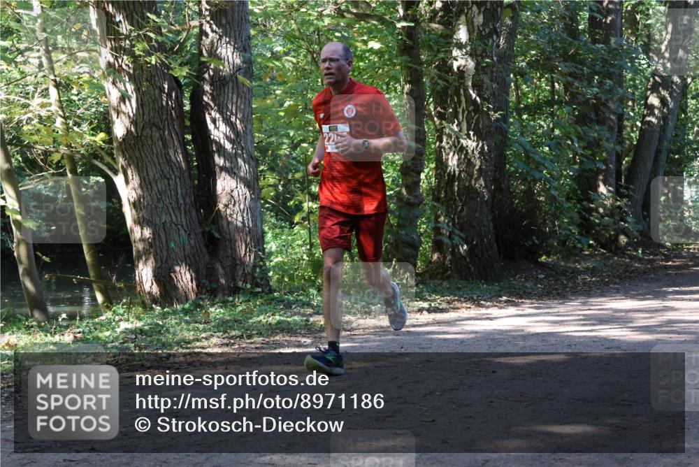 28.09.2025 - 33. Volkslauf durch das schöne Alstertal Strokosch-Dieckow http://msf.ph/oto/8971186 28.09.2025 12:09:09 Laufen 22 meine-sportfotos.de