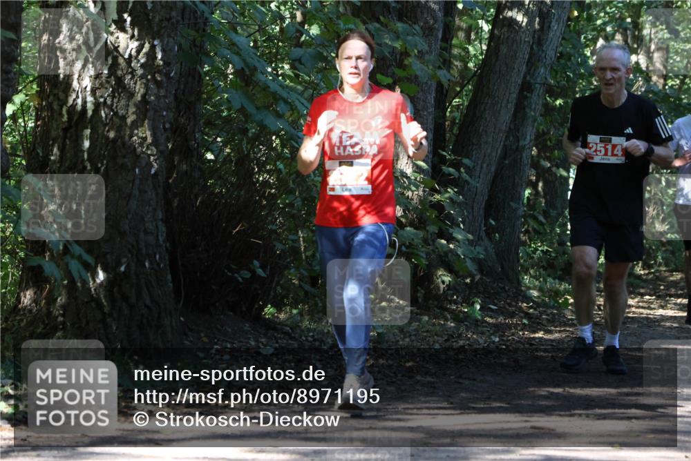 28.09.2025 - 33. Volkslauf durch das schöne Alstertal Strokosch-Dieckow http://msf.ph/oto/8971195 28.09.2025 12:09:25 Laufen 2514 meine-sportfotos.de