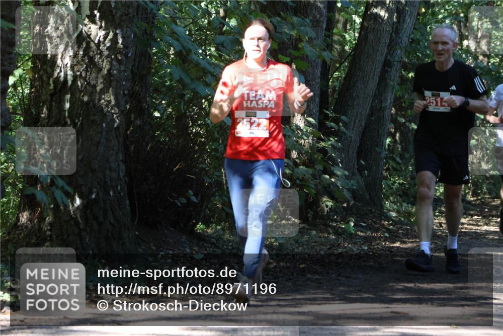 28.09.2025 - 33. Volkslauf durch das schöne Alstertal Strokosch-Dieckow http://msf.ph/oto/8971196 28.09.2025 12:09:25 Laufen 2514 meine-sportfotos.de