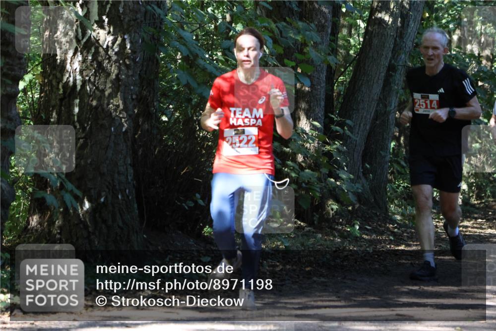 28.09.2025 - 33. Volkslauf durch das schöne Alstertal Strokosch-Dieckow http://msf.ph/oto/8971198 28.09.2025 12:09:26 Laufen 2522, 2514 meine-sportfotos.de