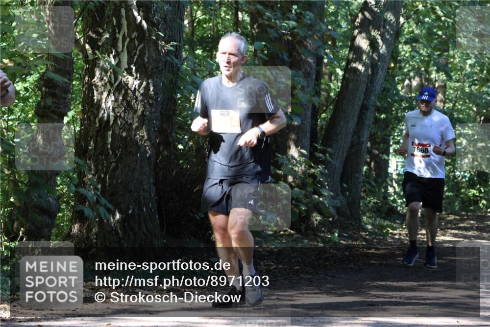 28.09.2025 - 33. Volkslauf durch das schöne Alstertal Strokosch-Dieckow http://msf.ph/oto/8971203 28.09.2025 12:09:27 Laufen 1668 meine-sportfotos.de