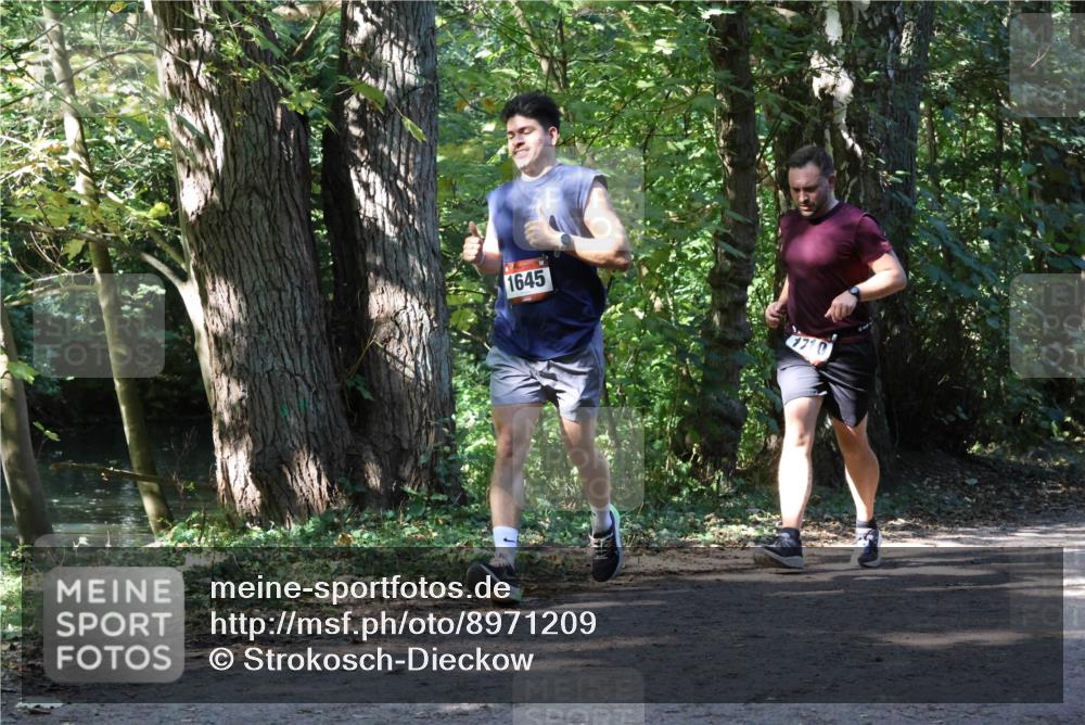 28.09.2025 - 33. Volkslauf durch das schöne Alstertal Strokosch-Dieckow http://msf.ph/oto/8971209 28.09.2025 12:09:49 Laufen 1645 meine-sportfotos.de