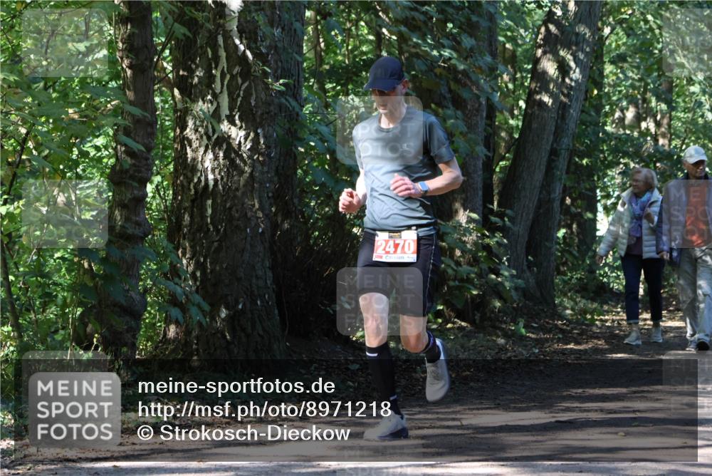 28.09.2025 - 33. Volkslauf durch das schöne Alstertal Strokosch-Dieckow http://msf.ph/oto/8971218 28.09.2025 12:09:58 Laufen 2470 meine-sportfotos.de