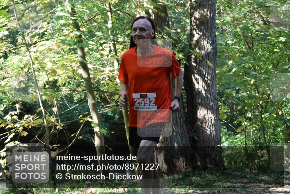 28.09.2025 - 33. Volkslauf durch das schöne Alstertal Strokosch-Dieckow http://msf.ph/oto/8971227 28.09.2025 12:10:10 Laufen 2592 meine-sportfotos.de