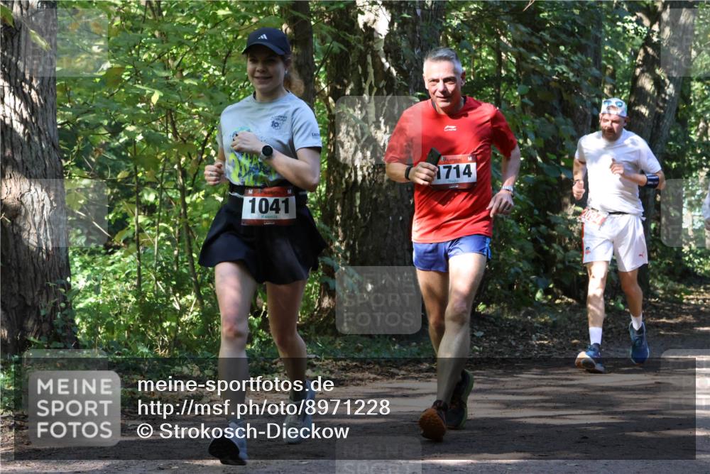 28.09.2025 - 33. Volkslauf durch das schöne Alstertal Strokosch-Dieckow http://msf.ph/oto/8971228 28.09.2025 12:10:20 Laufen 1041, 1714 meine-sportfotos.de