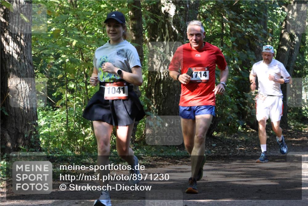 28.09.2025 - 33. Volkslauf durch das schöne Alstertal Strokosch-Dieckow http://msf.ph/oto/8971230 28.09.2025 12:10:20 Laufen 1041, 1714 meine-sportfotos.de