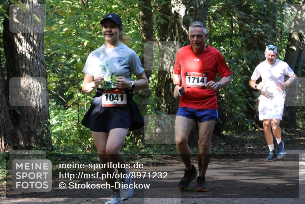 28.09.2025 - 33. Volkslauf durch das schöne Alstertal Strokosch-Dieckow http://msf.ph/oto/8971232 28.09.2025 12:10:20 Laufen 10, 1041, 1714 meine-sportfotos.de