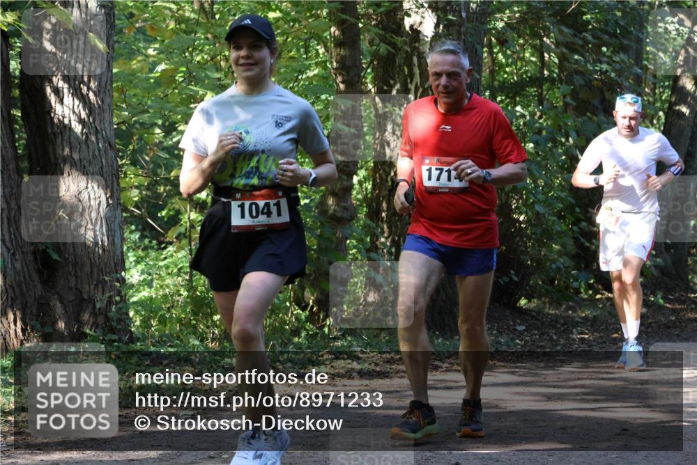 28.09.2025 - 33. Volkslauf durch das schöne Alstertal Strokosch-Dieckow http://msf.ph/oto/8971233 28.09.2025 12:10:20 Laufen 10, 1041, 171 meine-sportfotos.de