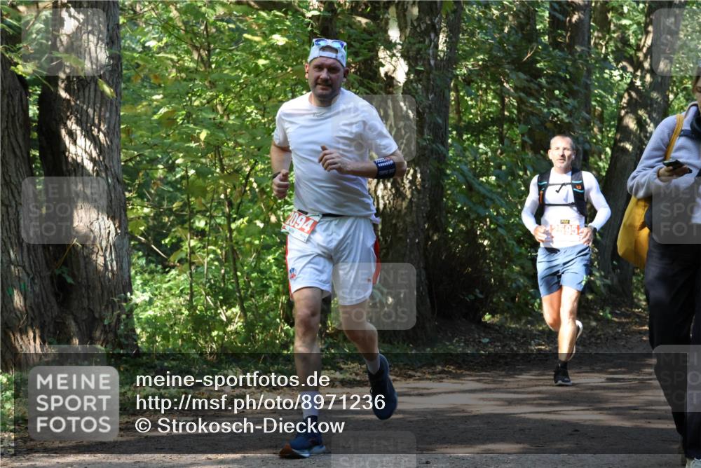28.09.2025 - 33. Volkslauf durch das schöne Alstertal Strokosch-Dieckow http://msf.ph/oto/8971236 28.09.2025 12:10:22 Laufen  meine-sportfotos.de