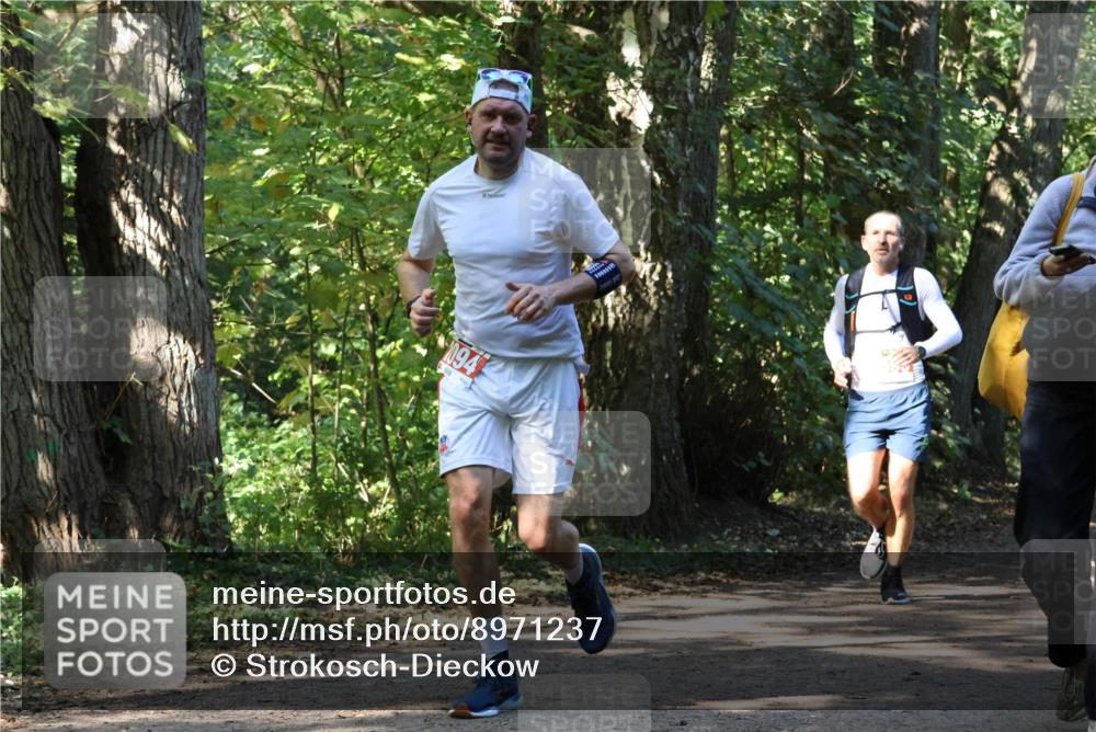 28.09.2025 - 33. Volkslauf durch das schöne Alstertal Strokosch-Dieckow http://msf.ph/oto/8971237 28.09.2025 12:10:22 Laufen 1094 meine-sportfotos.de