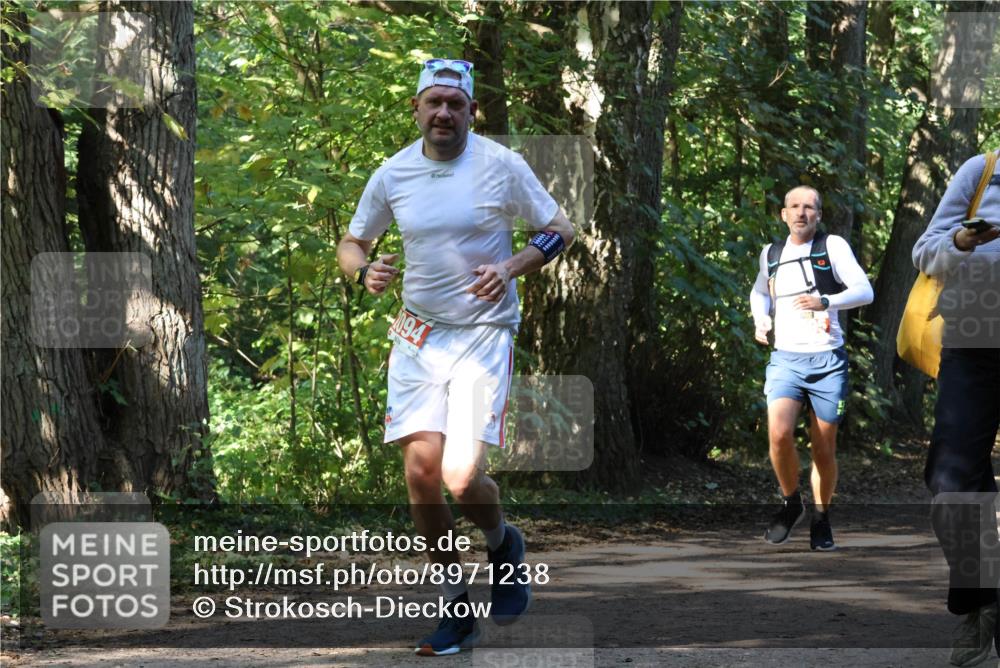 28.09.2025 - 33. Volkslauf durch das schöne Alstertal Strokosch-Dieckow http://msf.ph/oto/8971238 28.09.2025 12:10:22 Laufen  meine-sportfotos.de