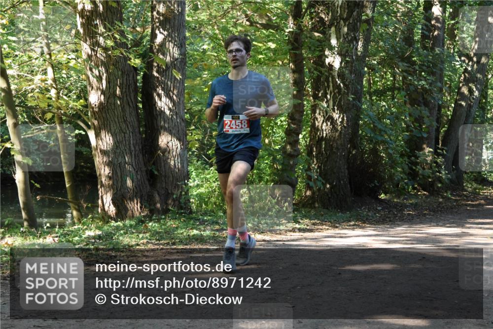 28.09.2025 - 33. Volkslauf durch das schöne Alstertal Strokosch-Dieckow http://msf.ph/oto/8971242 28.09.2025 12:10:28 Laufen 2458 meine-sportfotos.de