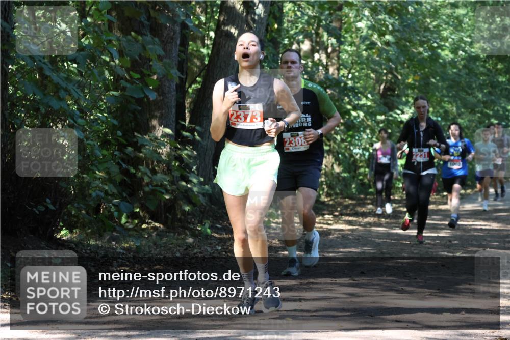 28.09.2025 - 33. Volkslauf durch das schöne Alstertal Strokosch-Dieckow http://msf.ph/oto/8971243 28.09.2025 12:10:31 Laufen 2373, 2308, 1062 meine-sportfotos.de