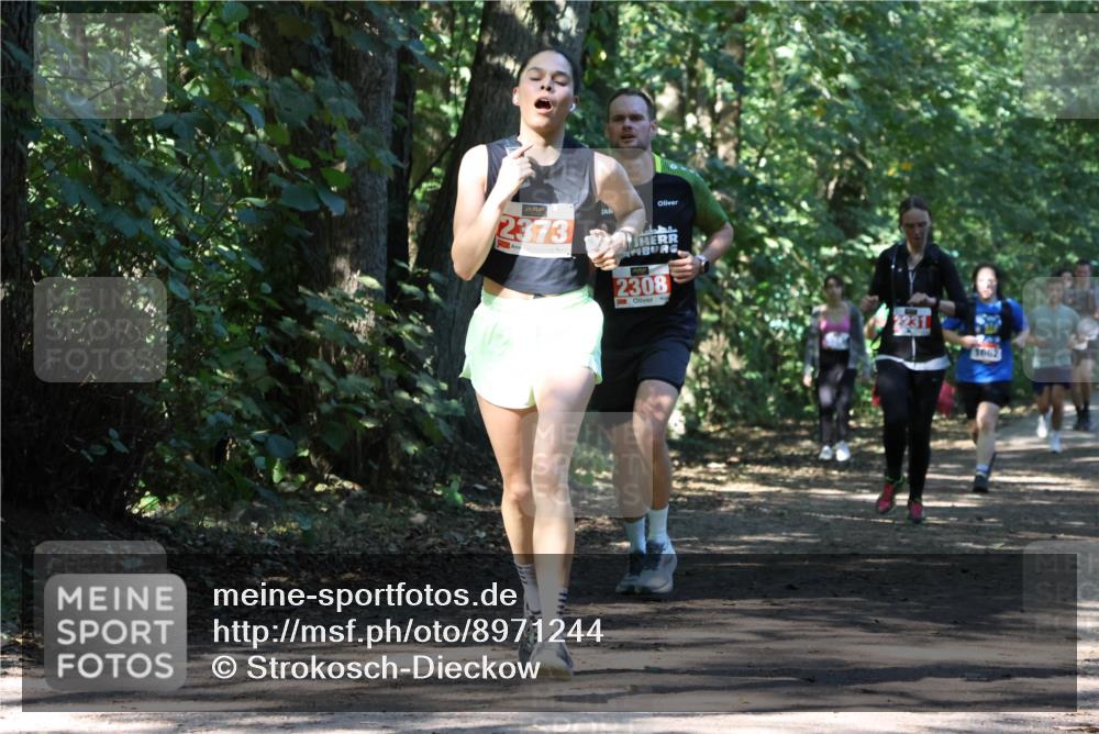 28.09.2025 - 33. Volkslauf durch das schöne Alstertal Strokosch-Dieckow http://msf.ph/oto/8971244 28.09.2025 12:10:31 Laufen 2373, 2308, 1062 meine-sportfotos.de