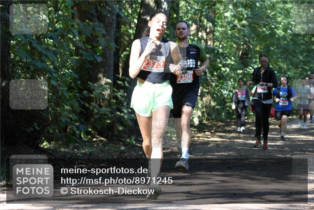 28.09.2025 - 33. Volkslauf durch das schöne Alstertal Strokosch-Dieckow http://msf.ph/oto/8971245 28.09.2025 12:10:32 Laufen 2373, 2308, 062 meine-sportfotos.de