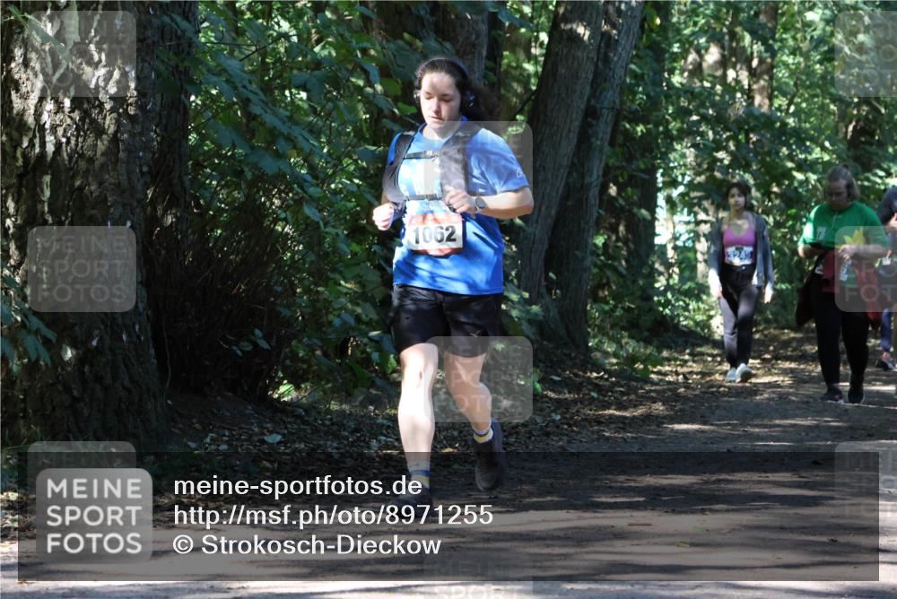 28.09.2025 - 33. Volkslauf durch das schöne Alstertal Strokosch-Dieckow http://msf.ph/oto/8971255 28.09.2025 12:10:39 Laufen 1062 meine-sportfotos.de
