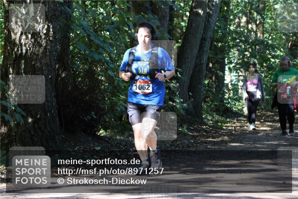 28.09.2025 - 33. Volkslauf durch das schöne Alstertal Strokosch-Dieckow http://msf.ph/oto/8971257 28.09.2025 12:10:39 Laufen 1062 meine-sportfotos.de