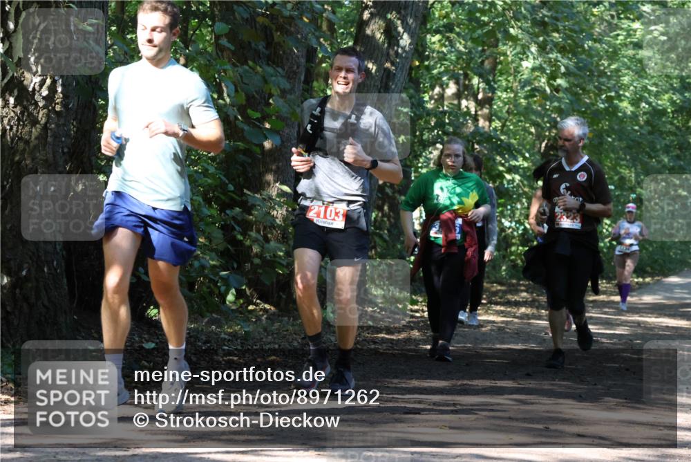 28.09.2025 - 33. Volkslauf durch das schöne Alstertal Strokosch-Dieckow http://msf.ph/oto/8971262 28.09.2025 12:10:44 Laufen 2103 meine-sportfotos.de