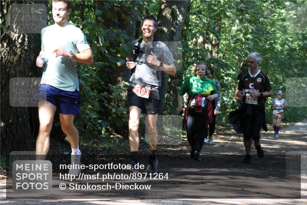 28.09.2025 - 33. Volkslauf durch das schöne Alstertal Strokosch-Dieckow http://msf.ph/oto/8971264 28.09.2025 12:10:44 Laufen 2103, 2323 meine-sportfotos.de
