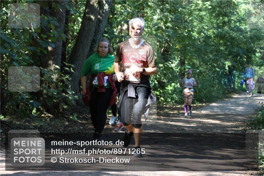 28.09.2025 - 33. Volkslauf durch das schöne Alstertal Strokosch-Dieckow http://msf.ph/oto/8971265 28.09.2025 12:10:46 Laufen 23 meine-sportfotos.de