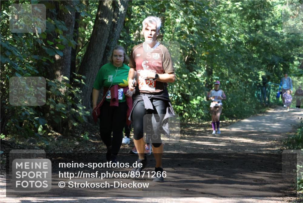 28.09.2025 - 33. Volkslauf durch das schöne Alstertal Strokosch-Dieckow http://msf.ph/oto/8971266 28.09.2025 12:10:46 Laufen 799 meine-sportfotos.de
