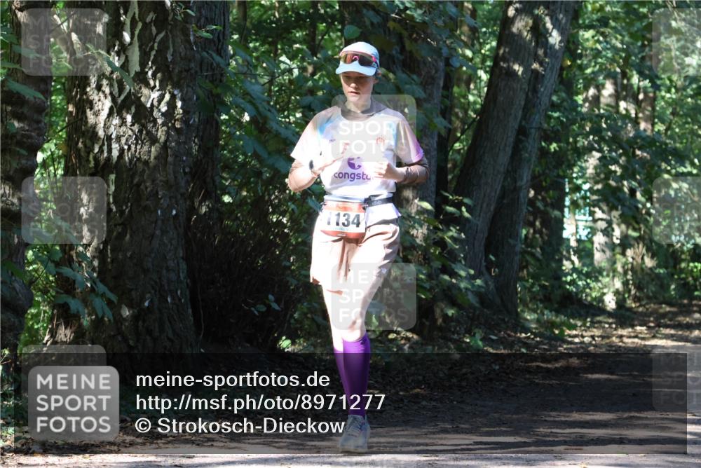 28.09.2025 - 33. Volkslauf durch das schöne Alstertal Strokosch-Dieckow http://msf.ph/oto/8971277 28.09.2025 12:10:58 Laufen 1134 meine-sportfotos.de