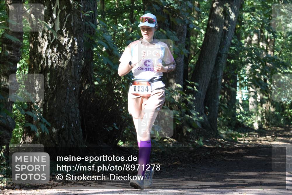 28.09.2025 - 33. Volkslauf durch das schöne Alstertal Strokosch-Dieckow http://msf.ph/oto/8971278 28.09.2025 12:10:58 Laufen 1134 meine-sportfotos.de