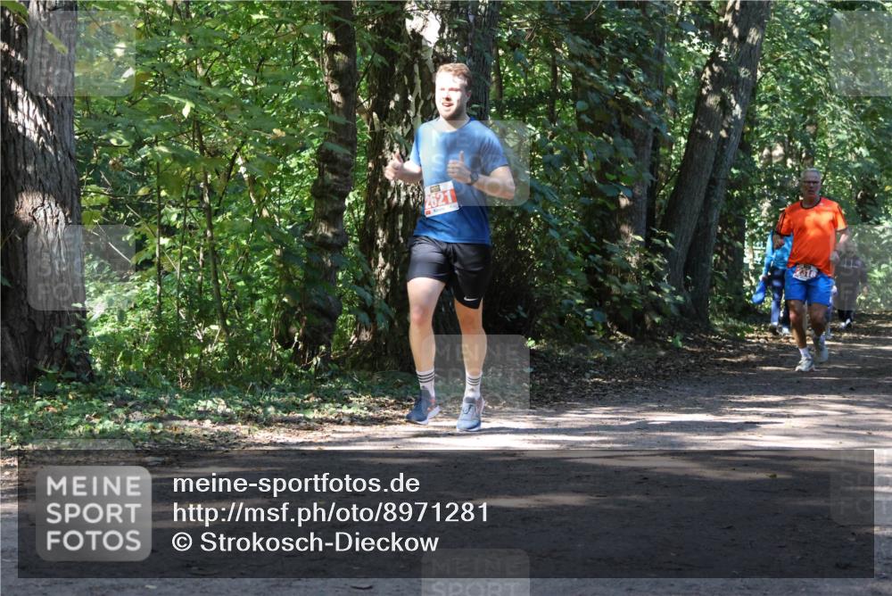 28.09.2025 - 33. Volkslauf durch das schöne Alstertal Strokosch-Dieckow http://msf.ph/oto/8971281 28.09.2025 12:11:18 Laufen 2621 meine-sportfotos.de