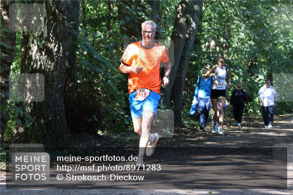 28.09.2025 - 33. Volkslauf durch das schöne Alstertal Strokosch-Dieckow http://msf.ph/oto/8971283 28.09.2025 12:11:20 Laufen 2318 meine-sportfotos.de
