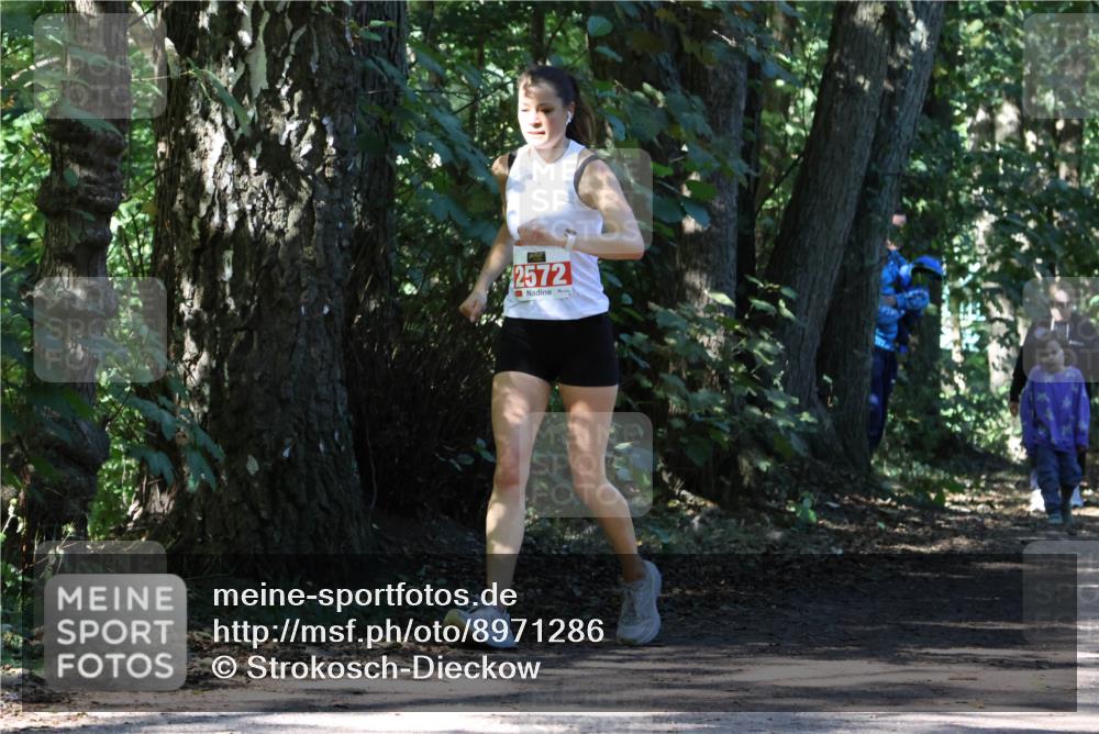 28.09.2025 - 33. Volkslauf durch das schöne Alstertal Strokosch-Dieckow http://msf.ph/oto/8971286 28.09.2025 12:11:25 Laufen 2572 meine-sportfotos.de