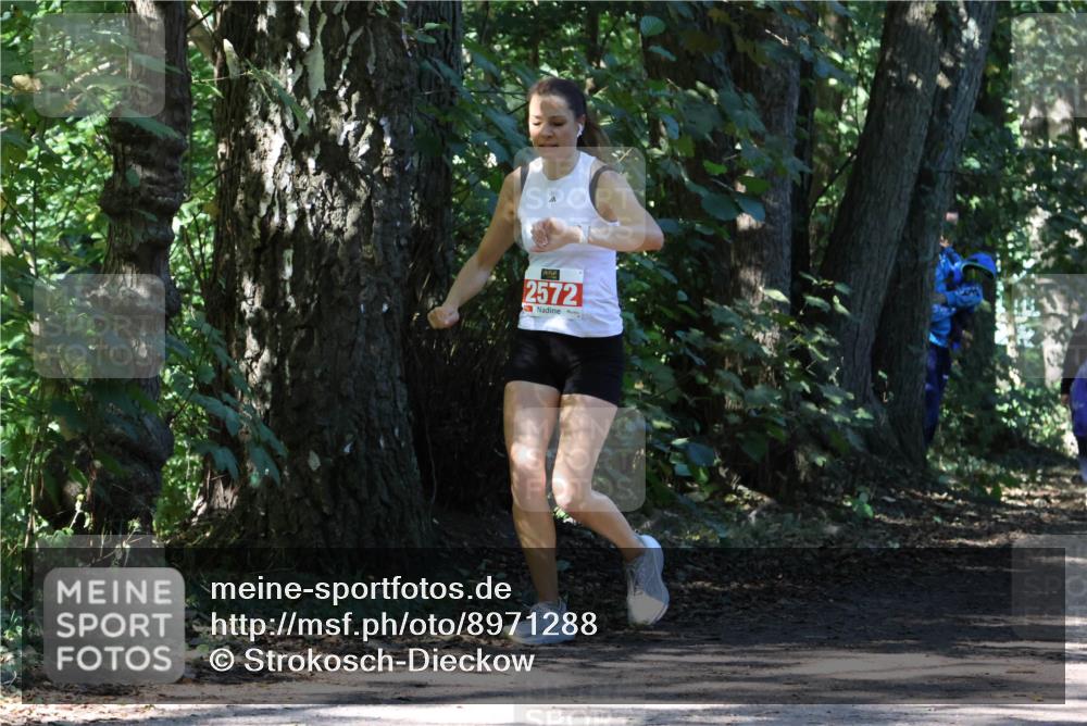 28.09.2025 - 33. Volkslauf durch das schöne Alstertal Strokosch-Dieckow http://msf.ph/oto/8971288 28.09.2025 12:11:25 Laufen 2572 meine-sportfotos.de