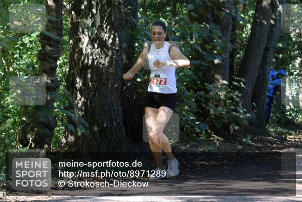 28.09.2025 - 33. Volkslauf durch das schöne Alstertal Strokosch-Dieckow http://msf.ph/oto/8971289 28.09.2025 12:11:25 Laufen 2572 meine-sportfotos.de