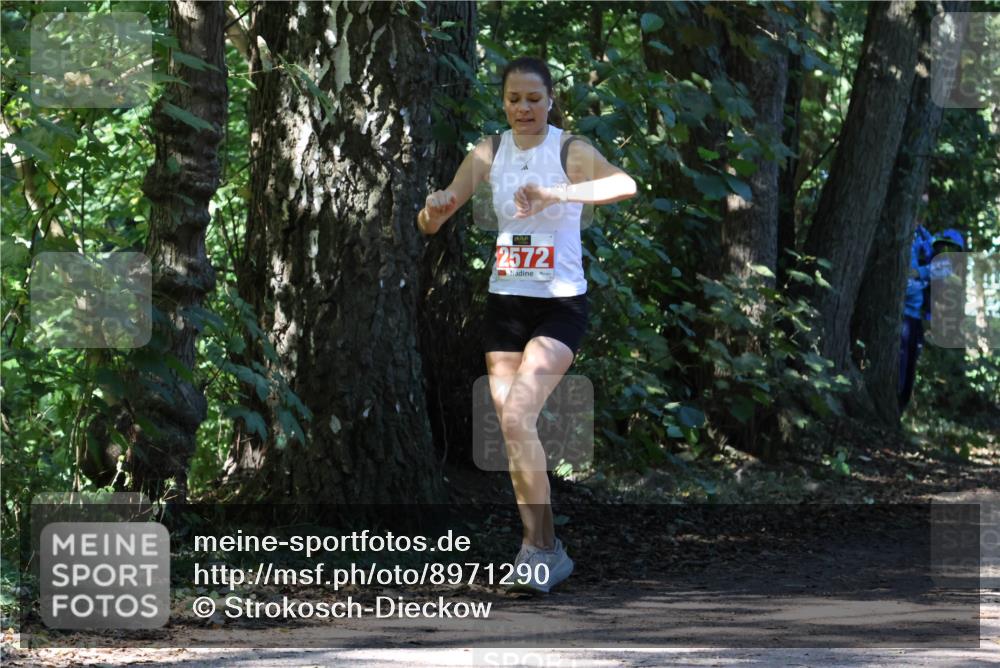 28.09.2025 - 33. Volkslauf durch das schöne Alstertal Strokosch-Dieckow http://msf.ph/oto/8971290 28.09.2025 12:11:25 Laufen 2572 meine-sportfotos.de