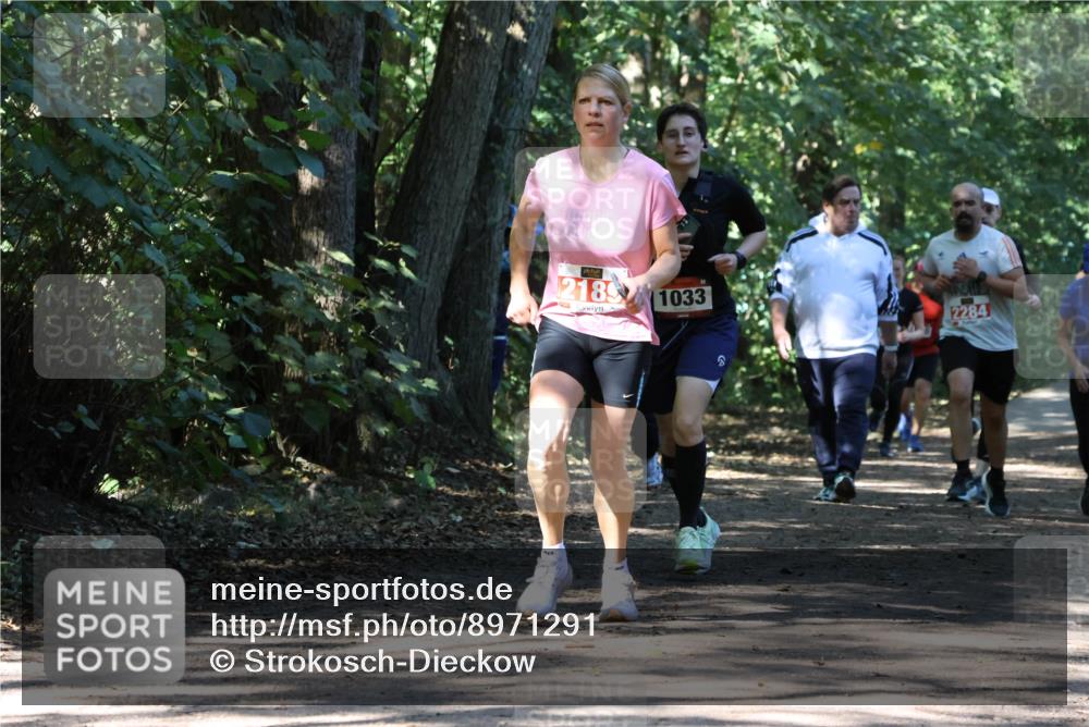 28.09.2025 - 33. Volkslauf durch das schöne Alstertal Strokosch-Dieckow http://msf.ph/oto/8971291 28.09.2025 12:11:31 Laufen 2189, 1033, 2284 meine-sportfotos.de