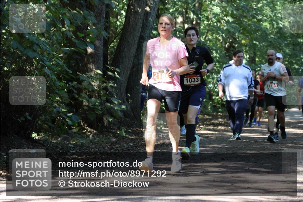 28.09.2025 - 33. Volkslauf durch das schöne Alstertal Strokosch-Dieckow http://msf.ph/oto/8971292 28.09.2025 12:11:31 Laufen 218, 1033, 2284 meine-sportfotos.de