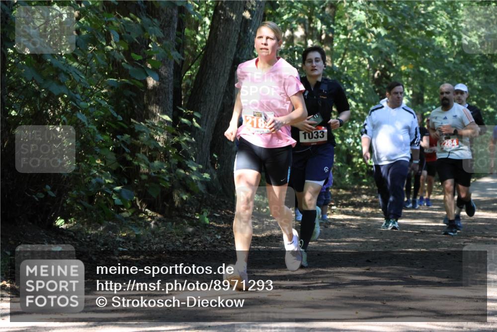 28.09.2025 - 33. Volkslauf durch das schöne Alstertal Strokosch-Dieckow http://msf.ph/oto/8971293 28.09.2025 12:11:31 Laufen 218, 1033, 2284 meine-sportfotos.de