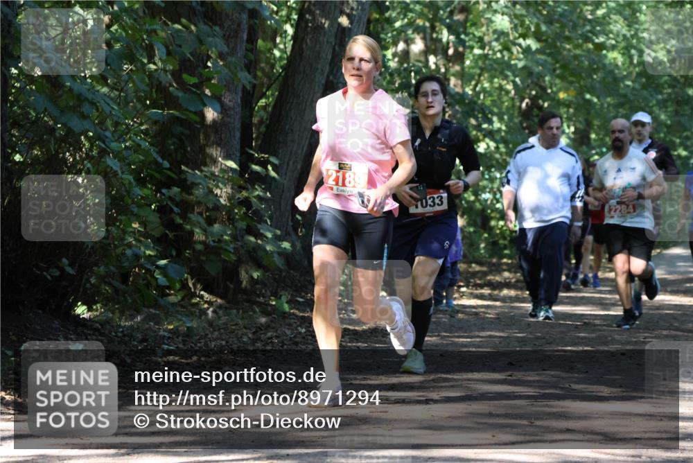 28.09.2025 - 33. Volkslauf durch das schöne Alstertal Strokosch-Dieckow http://msf.ph/oto/8971294 28.09.2025 12:11:31 Laufen 2189, 033, 2284 meine-sportfotos.de