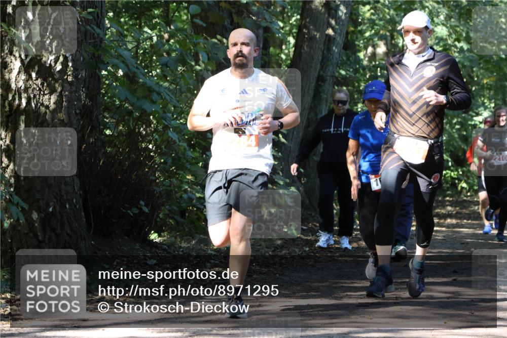 28.09.2025 - 33. Volkslauf durch das schöne Alstertal Strokosch-Dieckow http://msf.ph/oto/8971295 28.09.2025 12:11:35 Laufen 1, 210 meine-sportfotos.de