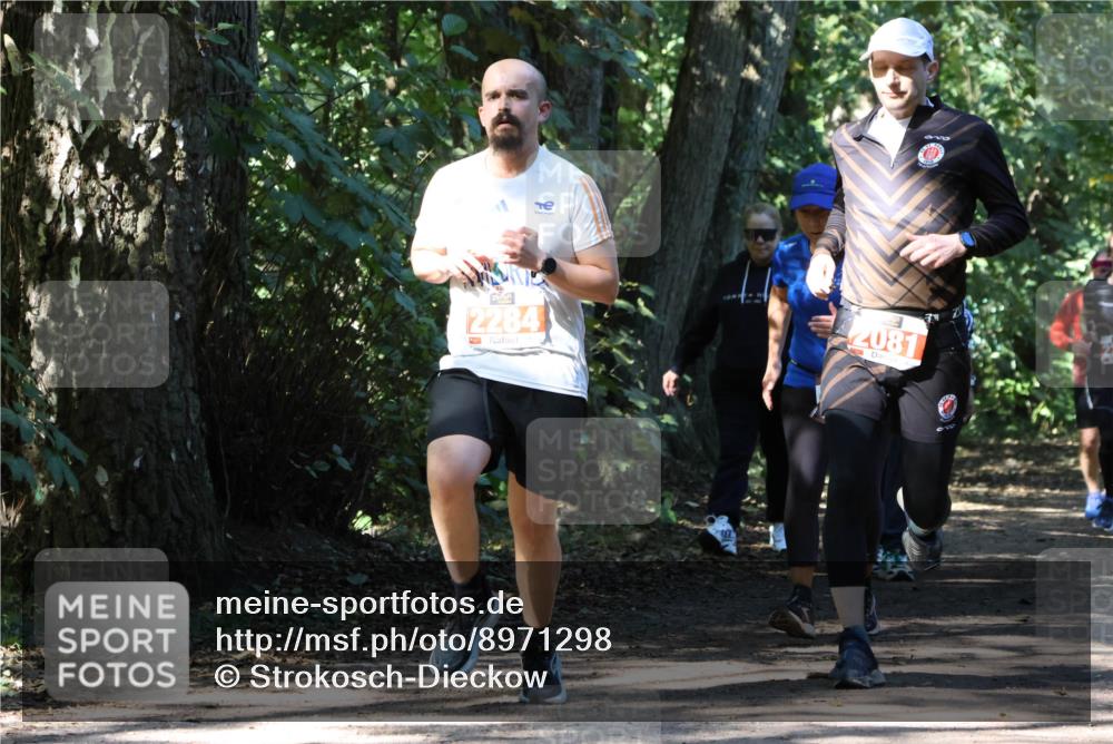 28.09.2025 - 33. Volkslauf durch das schöne Alstertal Strokosch-Dieckow http://msf.ph/oto/8971298 28.09.2025 12:11:35 Laufen 2284, 2081 meine-sportfotos.de